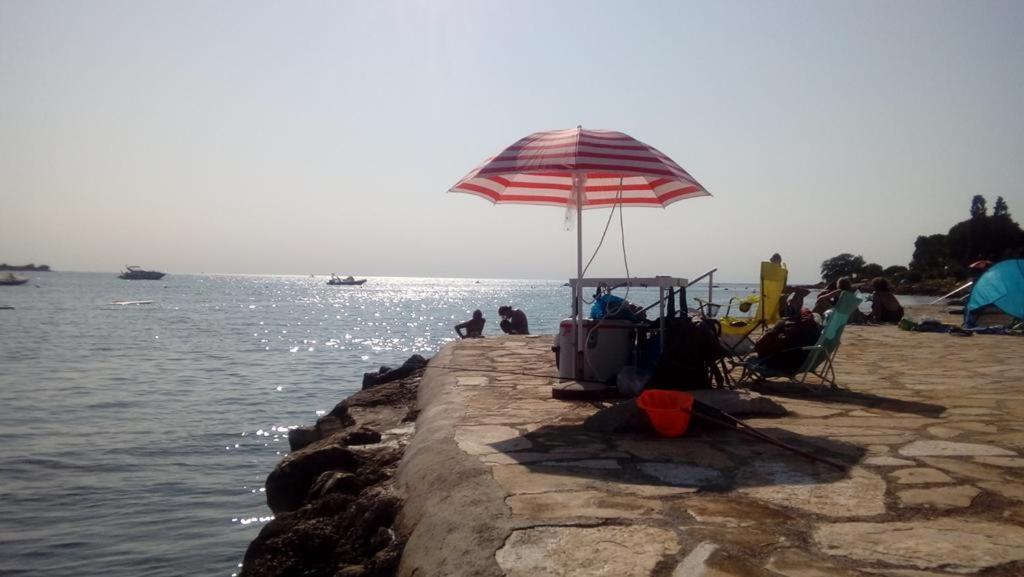Apartment Angelina 70M From The Beach, Free Parking Новиград Екстериор снимка