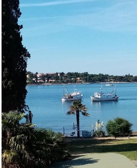 Apartment Angelina 70M From The Beach, Free Parking Новиград Екстериор снимка