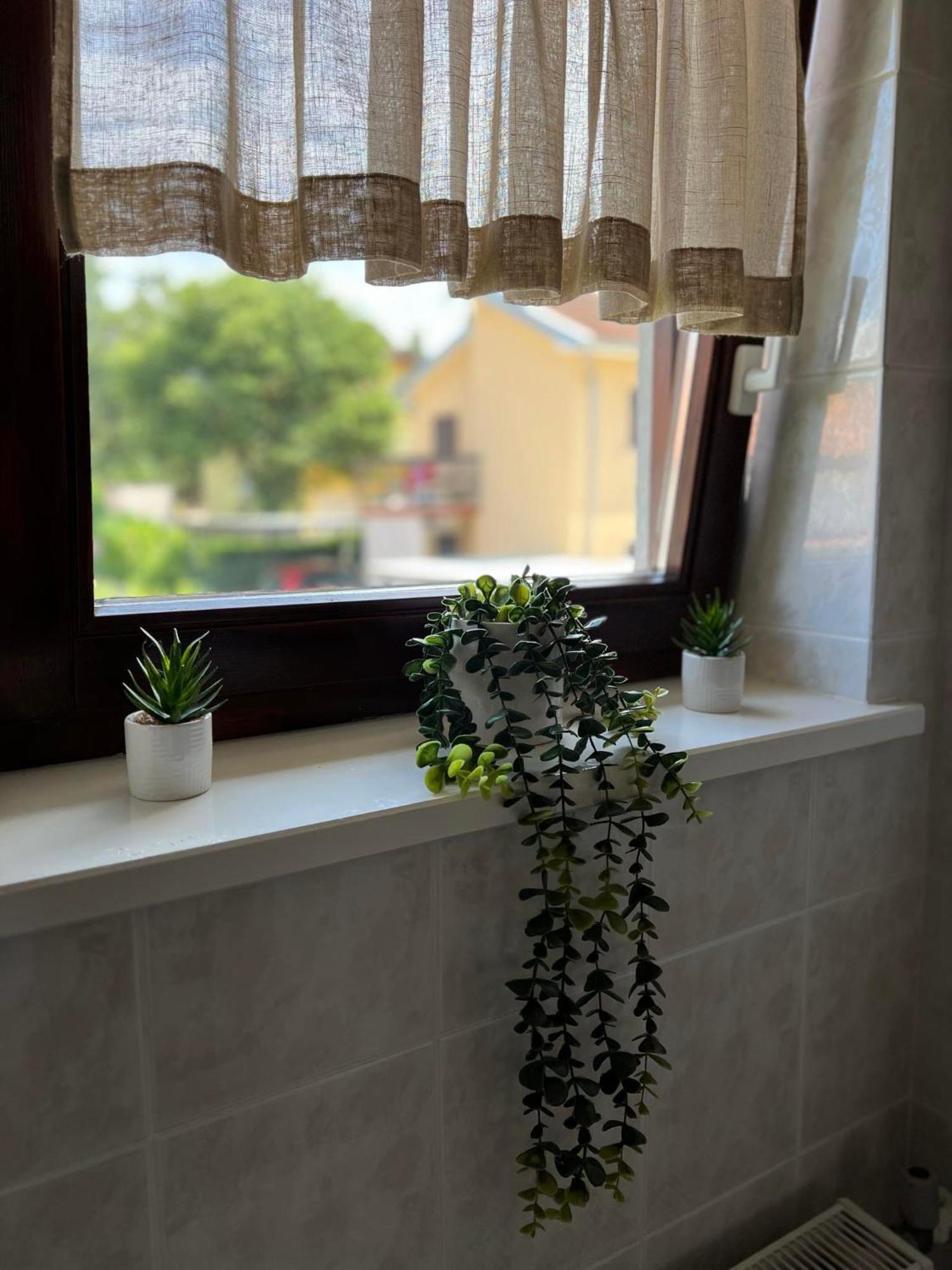 Apartment Angelina 70M From The Beach, Free Parking Новиград Екстериор снимка